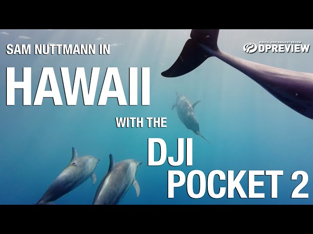 Sam Nuttmann shoots with the DJI Pocket 2 in Hawaii