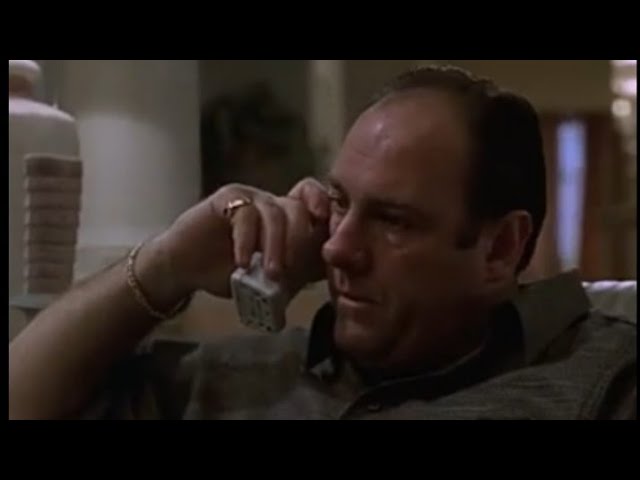 Sopranos - The witness who saw Tony Soprano whack Matthew Bevilaqua