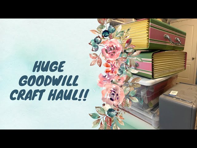 Goodwill Craft Haul!