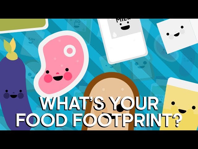 What's Your Food Footprint? | Earth Science
