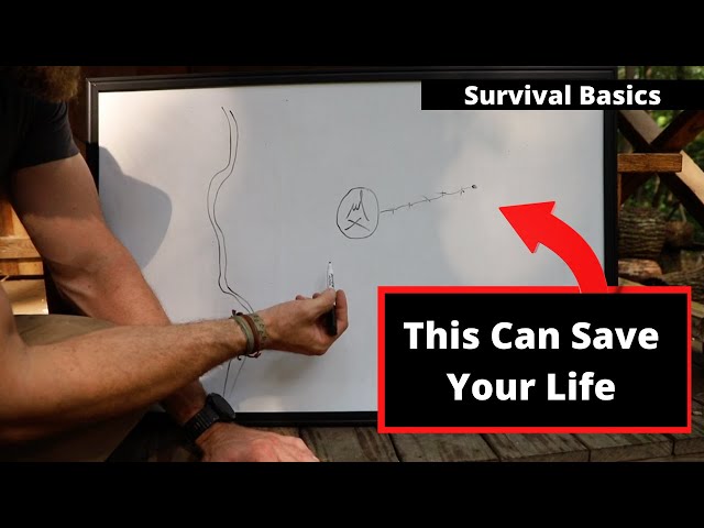 Survival Instructor Explains How to Find Your Way out of the Woods if you are Lost: New Technique