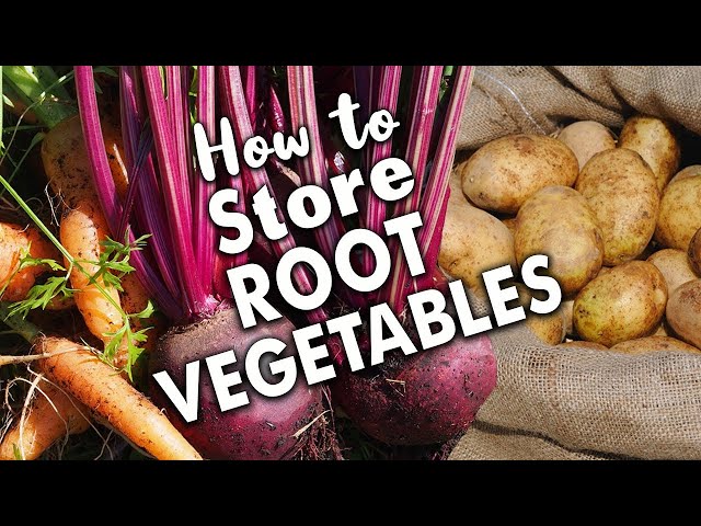 The Best Way to Store Root Vegetables 🥕 🥔