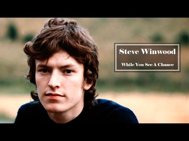 Steve Winwood  -   While You See A Chance