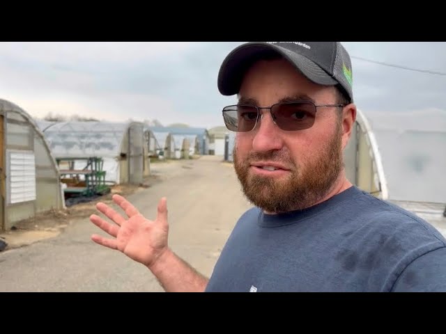 There Are More Options | Homestead Vlog | March 18, 2024