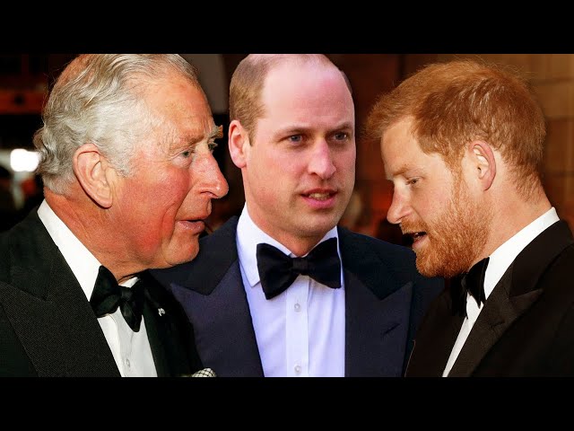 Charles enormously touched by the crowd as he mentions Harry, William  - Royal Insider