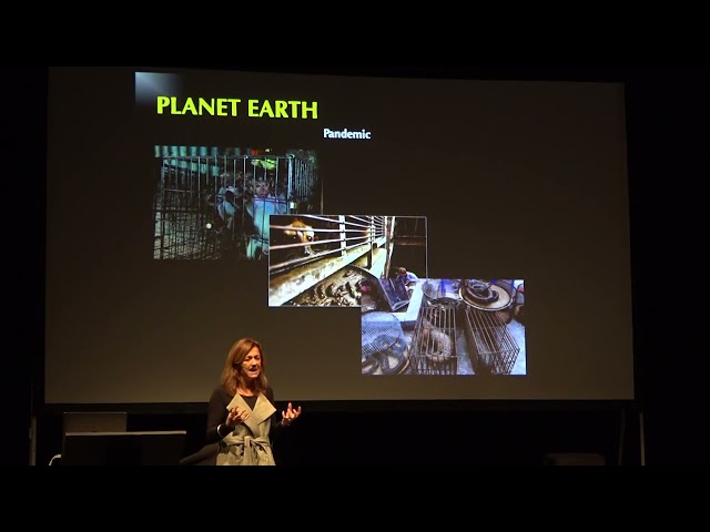 Evolution will change the way you see the world with Karine Van Doninck