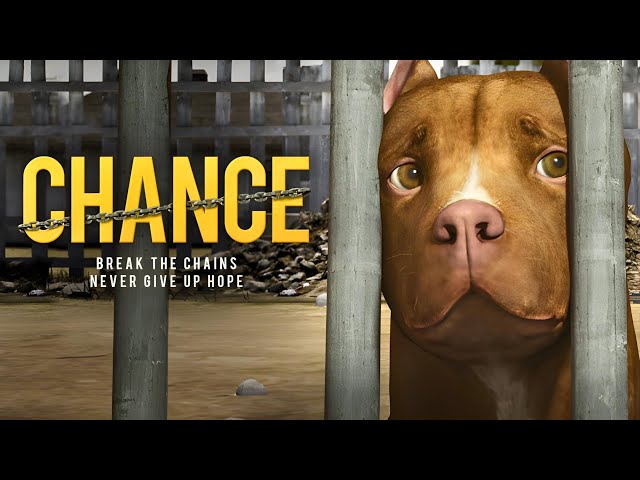 Chance (2019) Official Trailer