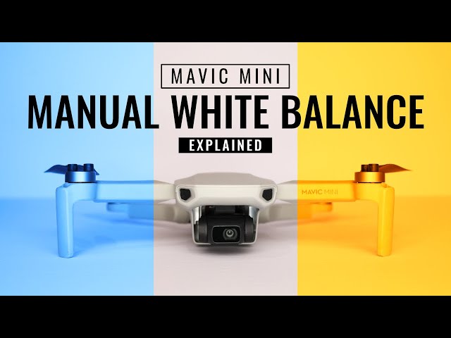 Manual White Balance EXPLAINED | DJI Mavic Mini (DJI Mini 2)