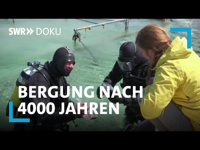 Der Schatz im Bodensee - Bergung eines 4000 Jahre alten Einbaums | SWR Doku
