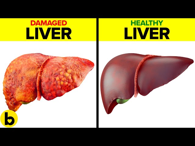 16 Foods That Cleanse The Liver And Make You Feel Energized