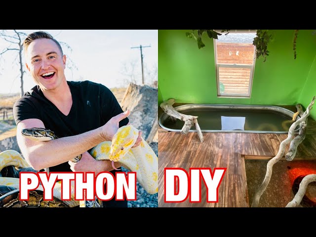 Python DIY: Expanding The Burmese Python Habitat!!!