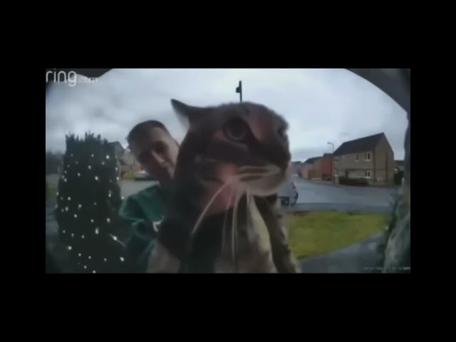 guy holds cat up to doorbell camera cat proceeds to say mggaow