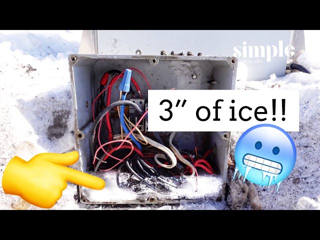 What Happens When You Mix 220V with ICE?!