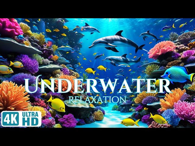 4K Underwater Scenery | Relaxation Video | Meditation | UHD
