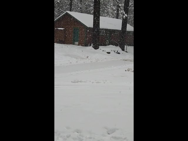 Viewer Video: Snow falls in Strawberry Valley