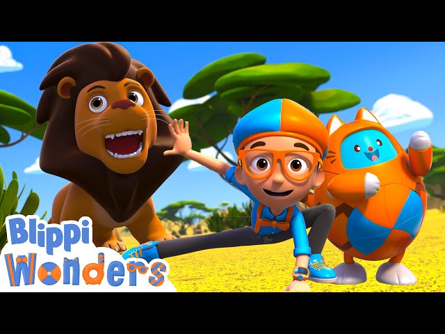Why are lions the king of the jungle? | Blippi Wonders Educational Videos for Kids