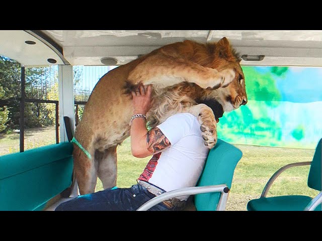 Most Emotional Animal Reunions With Owners After Years! | Best of 2023 !