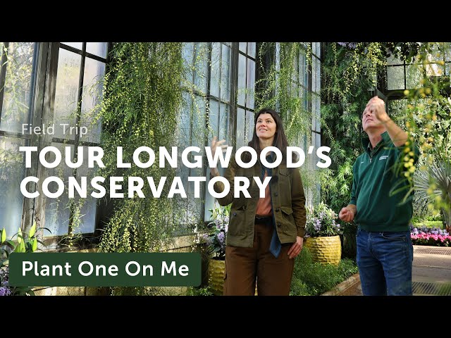 Longwood Garden's CONSERVATORY TOUR — Ep. 308