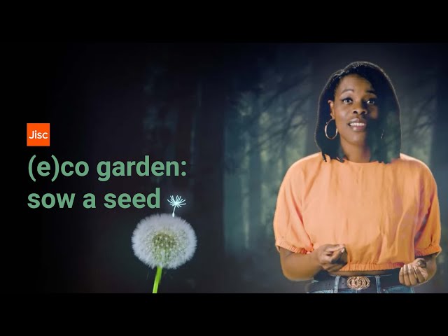 Jisc (e)co garden: sow a seed