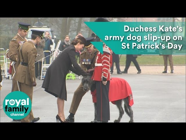 Duchess Kate's army dog slip-up on St Patrick's Day
