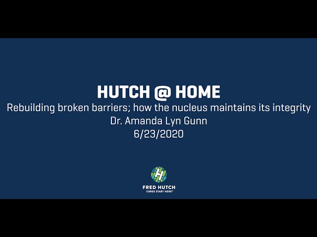 Hutch @ Home: Rebuilding broken barriers; how the nucleus maintains its integrity | June 23rd 2020