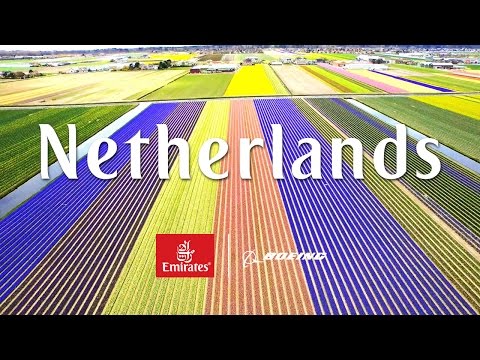 View from Above- Netherlands