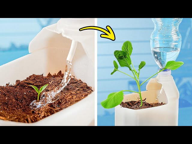 Epic Gardening 🌱 🌸 Easy Harvesting Hacks And Growing Ideas For The New Season