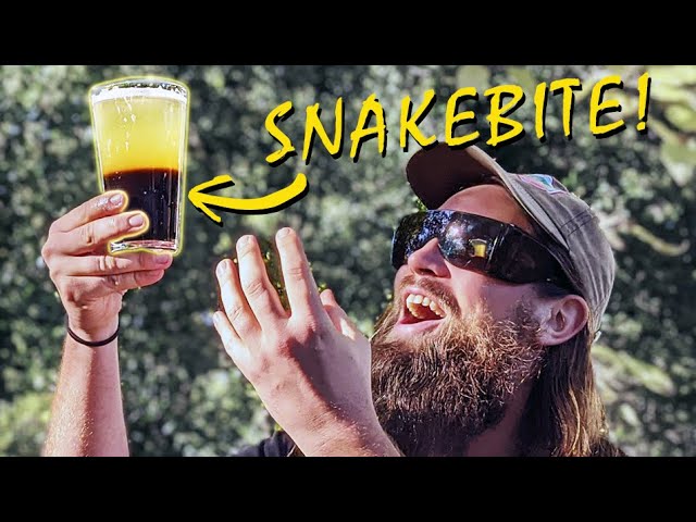 Snakebite - Hard Cider & Stout - Ultimate Fall Beverage - (Homebrew)