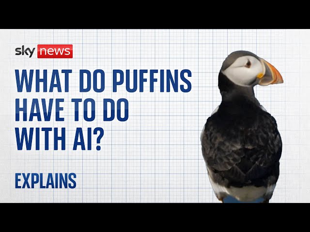 Artificial Intelligence: What do Puffins have to do with AI?