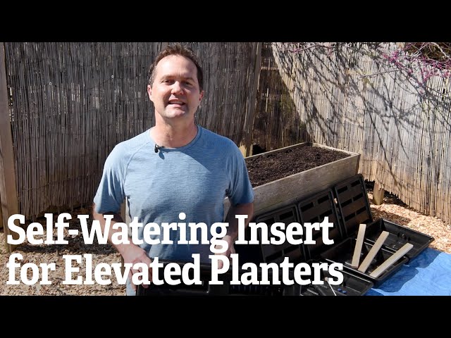 Self-Watering Insert for Elevated Planters