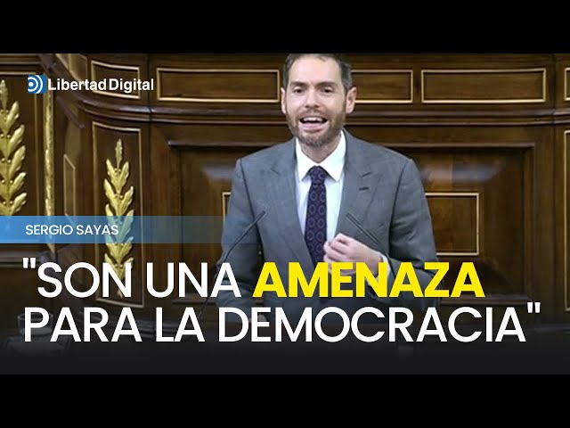 Monumental repaso de Sergio Sayas al Gobierno: "Son una amenaza para la democracia"