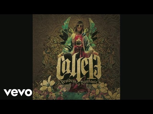 Calle 13 - La Era de la Copiaera (Cover Audio Video)