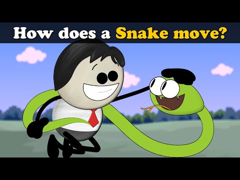 How do Snakes Move? + more videos | #aumsum #kids #science #education #children