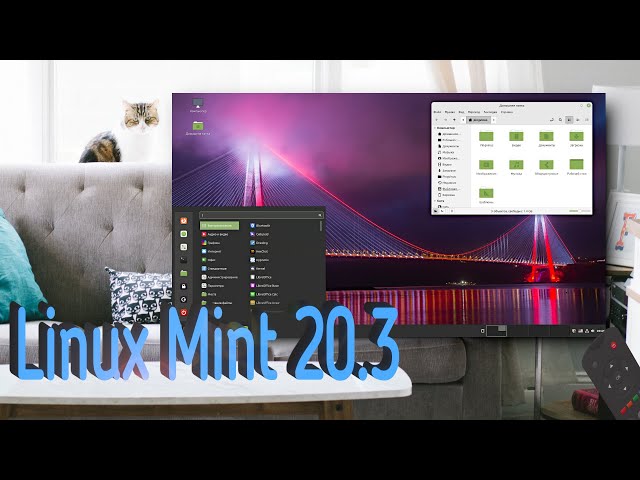 Linux Mint 20.3. Телевизор внутри, темные программы, новый Cinnamon