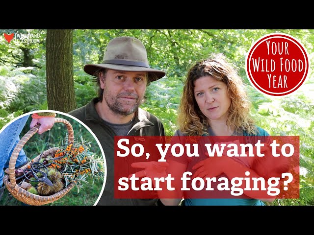 Discover Wild Food With Us