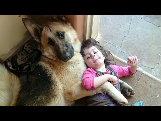 When your dog becomes a special friend - Cute dog and little human
