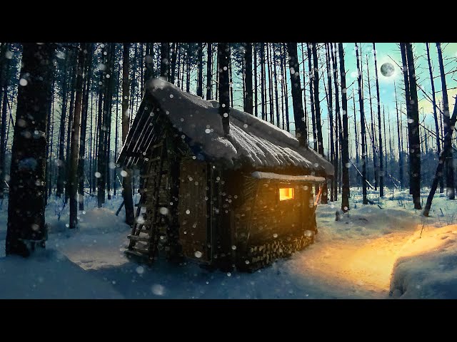 Building a hut. Overnight in winter. My log cabin in the woods. Frost -21°C.