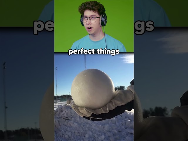 The Most Perfect Things… #reaction