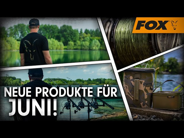 Neue Produkte für Juni! Fox Sommer Produktlaunch