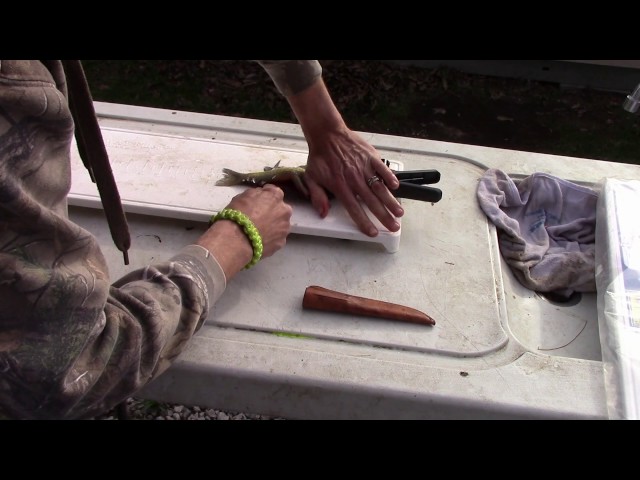 How to Fillet a Fish Using the Two Way Fillet Board