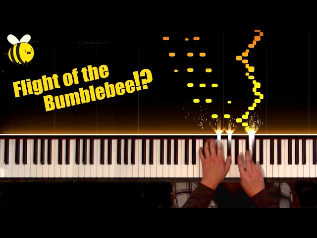 What Happens When Small Hands Try to Play Flight of the Bumblebee (Piano)