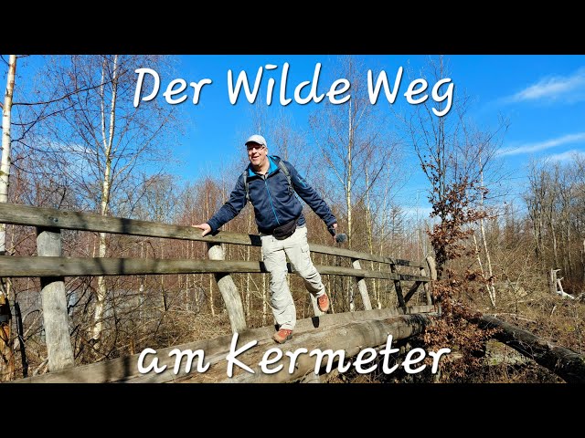 Der Wilde Weg am Kermeter - Abenteuer im Nationalpark Eifel #wanderung #wandern #natur #outdoor