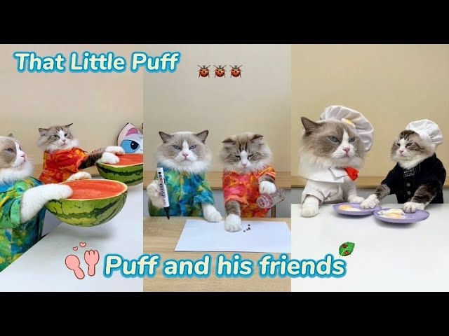 🐾 Puff and Friends: A Furry Tale of Friendship and Fun Adventures!