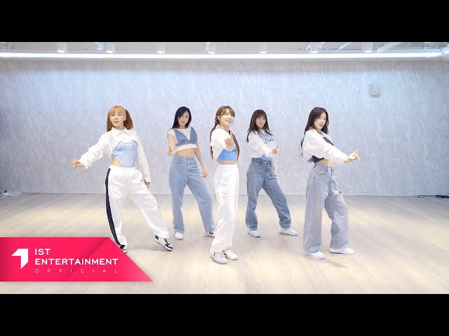 Apink 에이핑크 'D N D' 안무 연습 영상 (Choreography Practice Video)