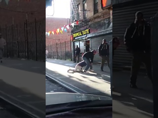 DRAMA ON THE  STREETS  OF  BROOKLYN