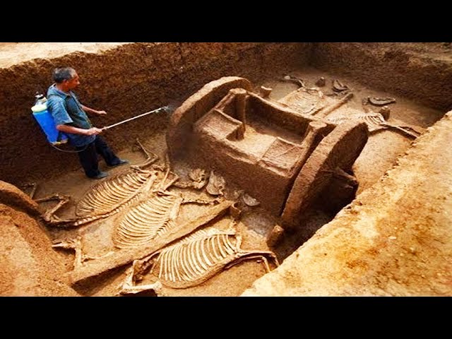 20 Most Amazing Accidental Historical Discoveries