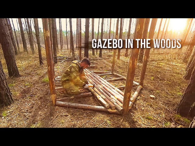 I'm building a gazebo in the forest. What about the dog? Looking for a runaway puppy.