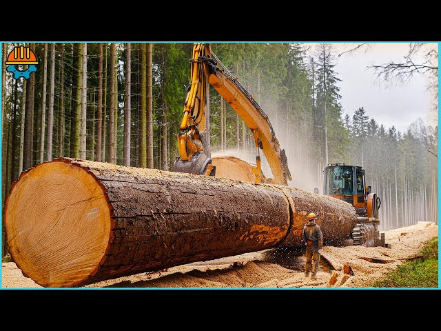 150 Amazing Fastest Big Forestry Chainsaw Machines That Are on Another Level
