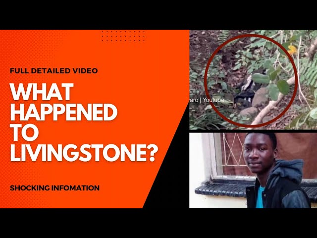 SHOCKING: Inside Livingstone’s BODY Search, FOUND & Hidden Information | DETAILED VIDEO.