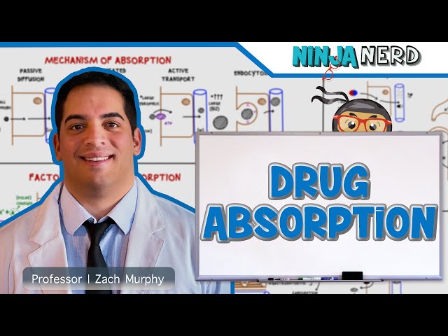 Pharmacokinetics | Drug Absorption